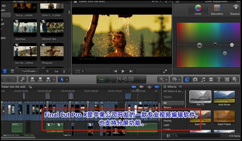 final是什么意思