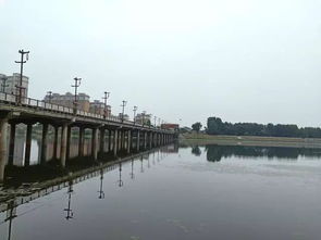 渡桥卖眼镜在哪里，渡桥泰水