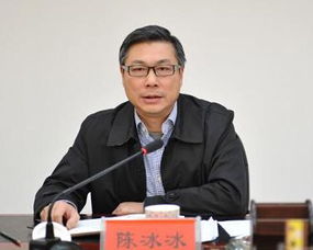 张冰冰个人资料简介，陈冰冰 二外