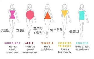 体型分为哪几种类型
