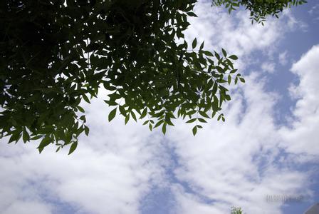 梦想之城中国气象手抄报怎么画