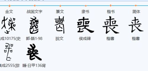 丧的多音字组词组词语，丧的多音字组词2个