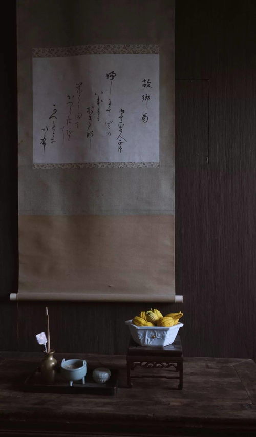 独乐园记文言文阅读答案