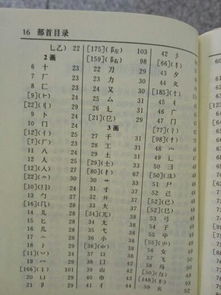 “录”字部首叫什么?