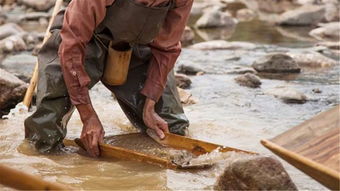 沙里淘金的意思是
