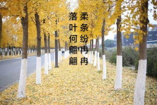 冉冉的意思是什么 冉冉的意思