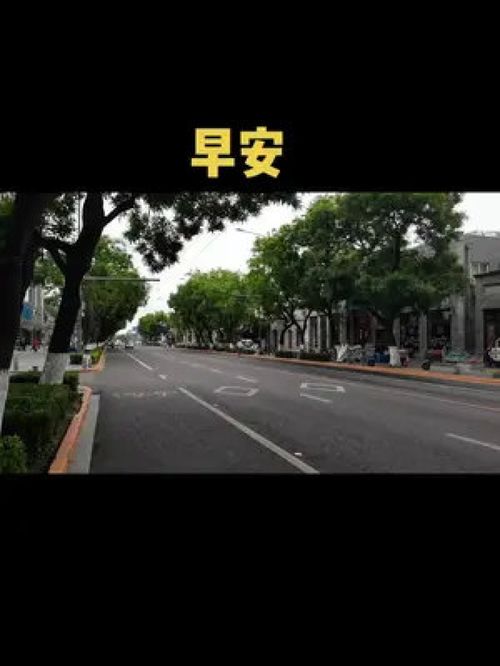 冷冷清清凄凄惨惨戚戚的全诗