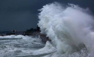 风暴潮通常分为哪两类?，风暴潮分为哪两类