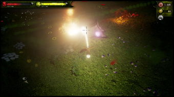 辉光之辰，辉光所烛,万里同晷