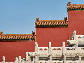 故宫观后感800字通用7篇