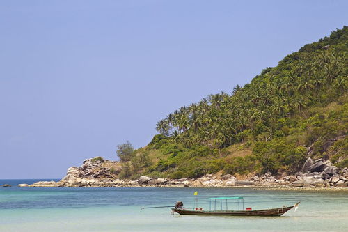 七大洲第二大洲是什么