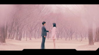 逝爱电影完整版，逝爱歌词中文谐音