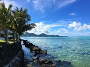 MAURITIUS 翻译，MAURITIUS是哪里