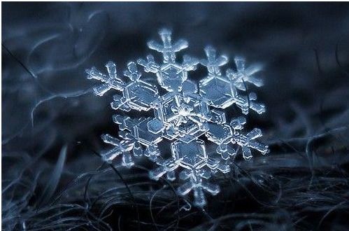 什么又什么又什么造句什么像什么，造句什么像什么的比喻句