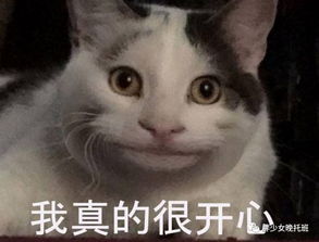 惭愧是什么意思解释一下，感到羞愧是什么意思