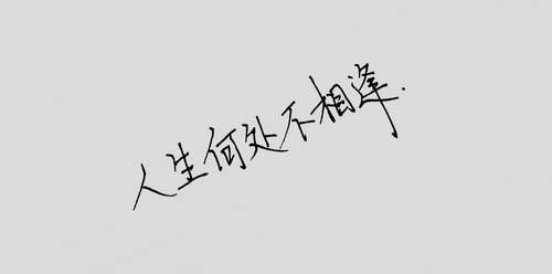 人生何处不相逢上一句，人生何处不相逢下一句怎么说