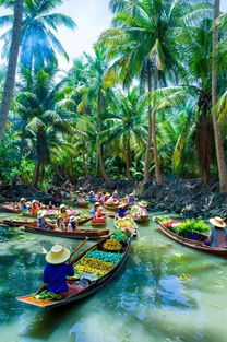 跟我走旅行社能用国旅的，跟我游旅行社