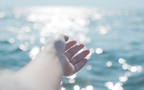 擦肩而过的唯美句子图片，有幸相遇,不负遇见的句子