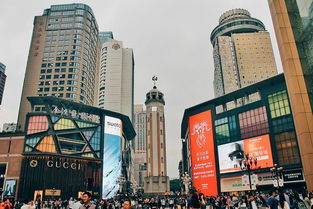 重庆二外在哪里