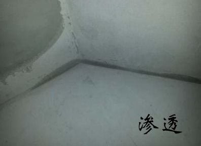 渗透拼音怎么读音，渗透拼音怎么拼写