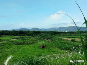 长江三角洲被誉为丝绸之乡的原因?