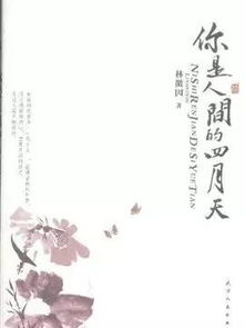 南渡北归读后感