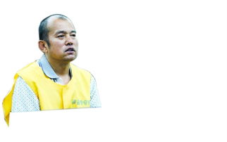 聂树斌案疑凶王书金二审判决结果如何?