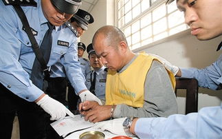 王书金案件结果，王书金案件详情