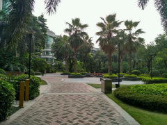 聊斋郡君是什么神仙