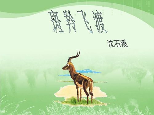 《斑羚飞渡》读后感