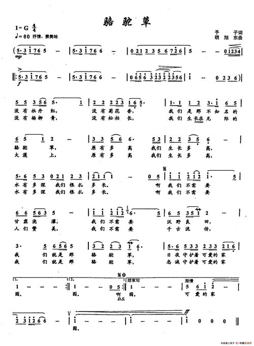 骆驼草简谱完整版原唱，骆驼草简谱教学