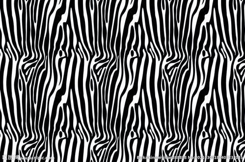 斑马纹是保护色吗?