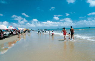 东海岛晚上有什么好玩的地方吗?