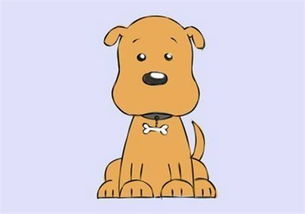 属狗多大了今年多大了2022，属狗几岁今年多大