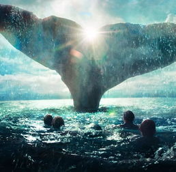 大海深处有什么秘密?