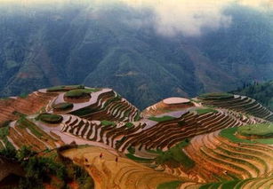 丘陵是什么意思