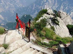 鹞子翻身什么意思