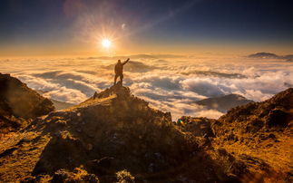 悲歌行汉乐府民歌，悲歌行拼音版