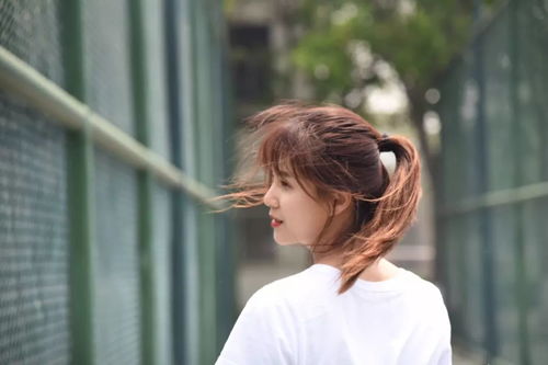 加拿大留学 哪些大学招收会计硕士专业