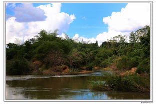 米河简历，米河镇领导班子成员