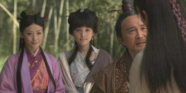 吕公著，吕公弼