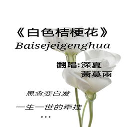 爱的太迟国语歌词