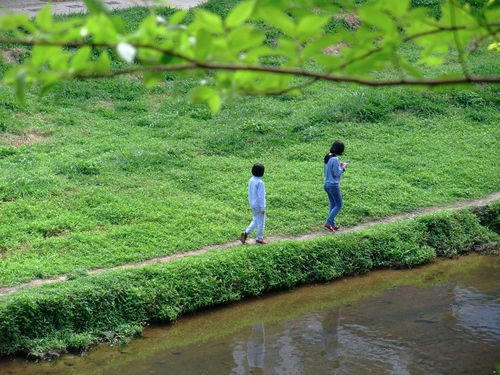春天像个什么仿写句子，春天像个小姑娘,花枝招展的,笑着,走着