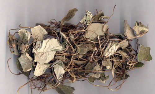 金钱草泡水能治结石吗，金钱草能治疗前列腺炎吗