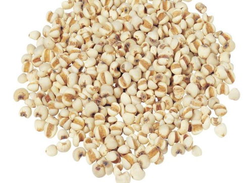 苡仁与薏米的图片对比，苡仁粥