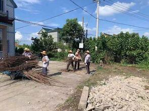 双林镇拆迁公告