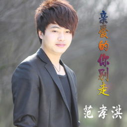 亲爱的你别走再给我一次温柔，亲爱的你别走是什么歌歌词是什么意思