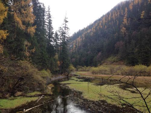 北京西沟原始森林好吗，北京西沟原始森林公园简介