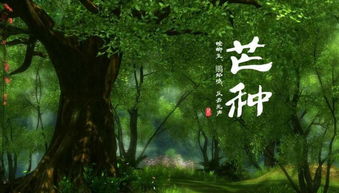 纱厨枕簟凉是什么意思，南乡子凉簟碧纱厨