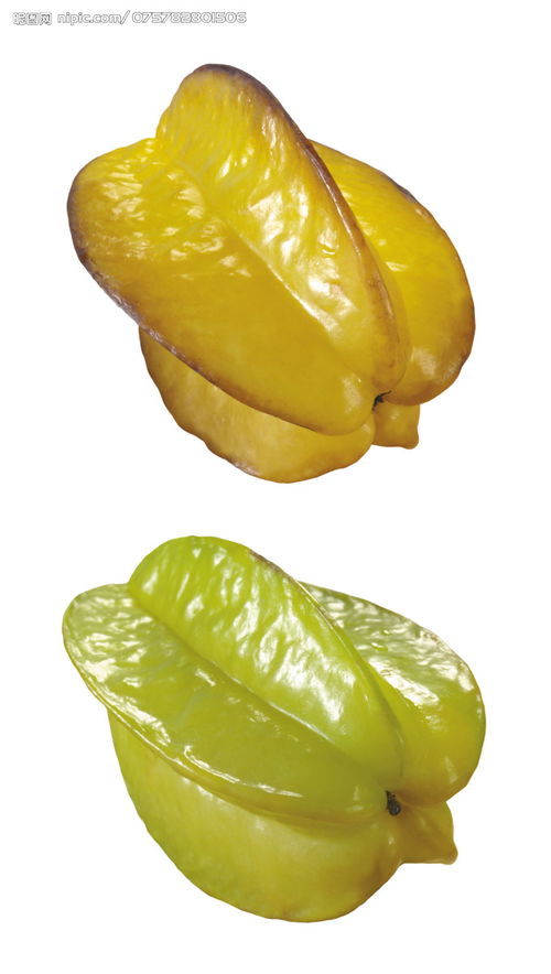 洋桃的作用与功效与作用，洋桃几月成熟